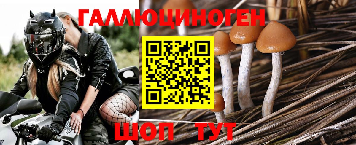 Липецк  Галлюциногенные грибы прущие грибы  Вход с VPN  Галлюциногенные грибы ЛСД 